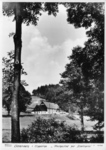 8n09sw1_1959_Gasthaus zur Schwingerei_v.jpg
